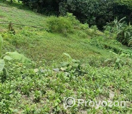 জমির বিক্রয়