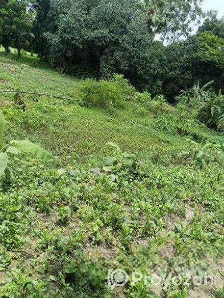 জমির বিক্রয়