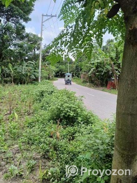 জমির বিক্রয়