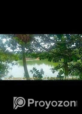 সস্তা দামে জমি বিক্রি হবে।