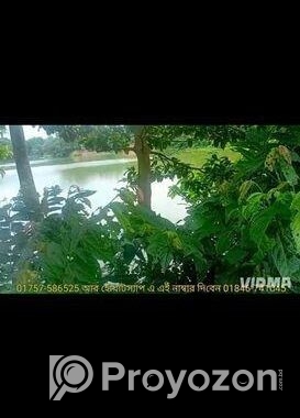 সস্তা দামে জমি বিক্রি হবে।