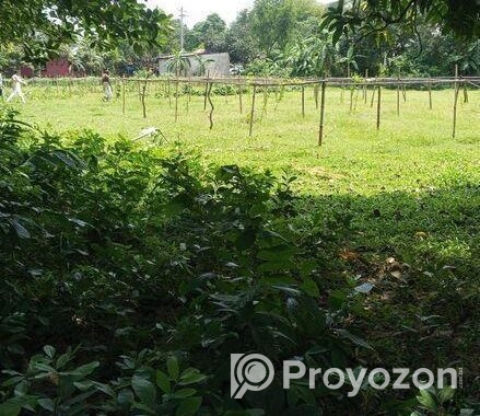 রিসোর্টের জন্য জমি কিনুন