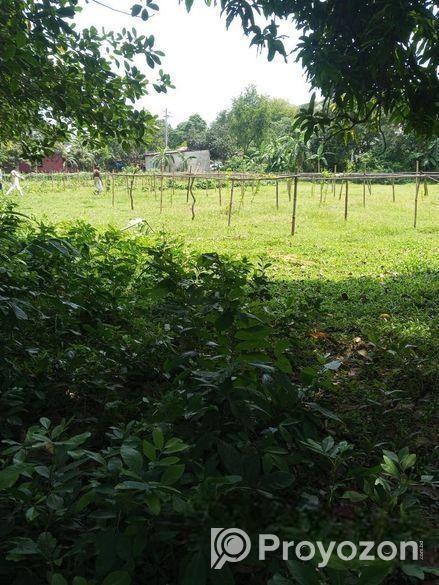 রিসোর্টের জন্য জমি কিনুন