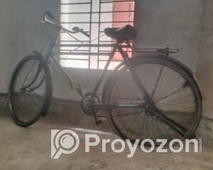 fitted-2025-08-20T115216.334_2025-08-20_11-52-37