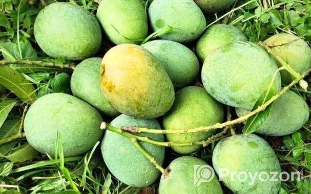 বাড়ি ফোর আম