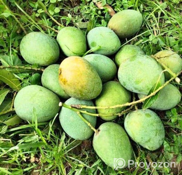 বাড়ি ফোর আম