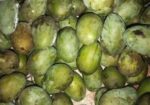 আম ফরমালিন মুক্ত
