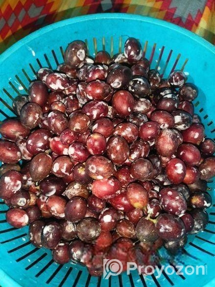 নিজ বাসার করমচা