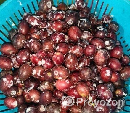 নিজ বাসার করমচা