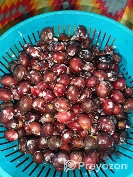 নিজ বাসার করমচা