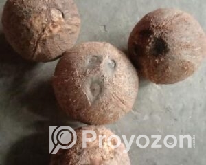 fitted-2025-08-20T122740.394_2025-08-20_12-28-33