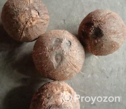 আমার নিজের গাছের পন্য
