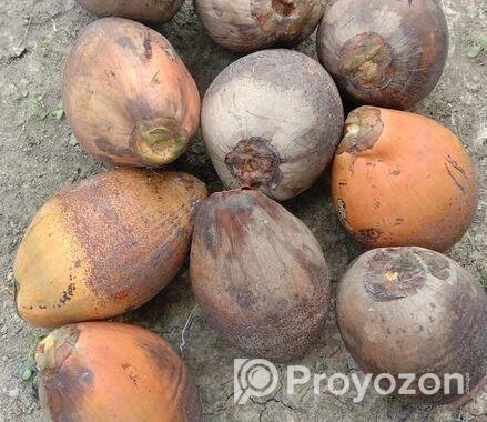 আমার নিজের গাছের পন্য