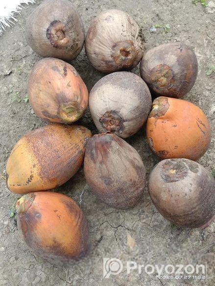 আমার নিজের গাছের পন্য