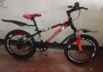 20″দুরন্ত হাইড্রোলিক ব্রেকের সাইকেল