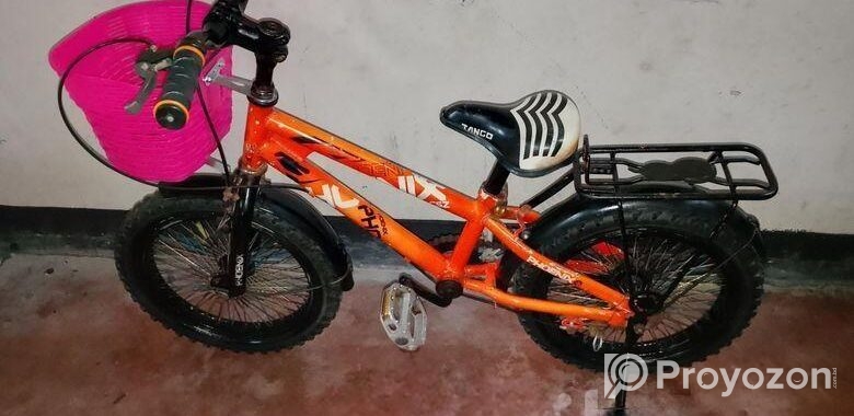 16″আকর্ষণীয় বাচ্চা সাইকেল