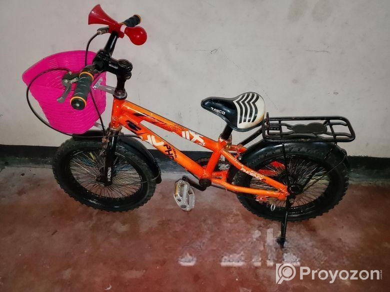 16″আকর্ষণীয় বাচ্চা সাইকেল