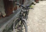 Foxter Cycle