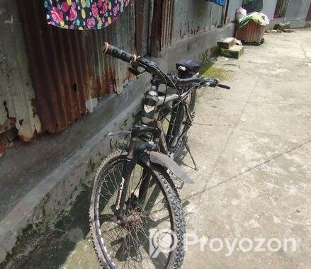 Foxter Cycle