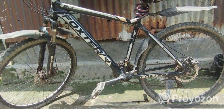 Foxter Cycle