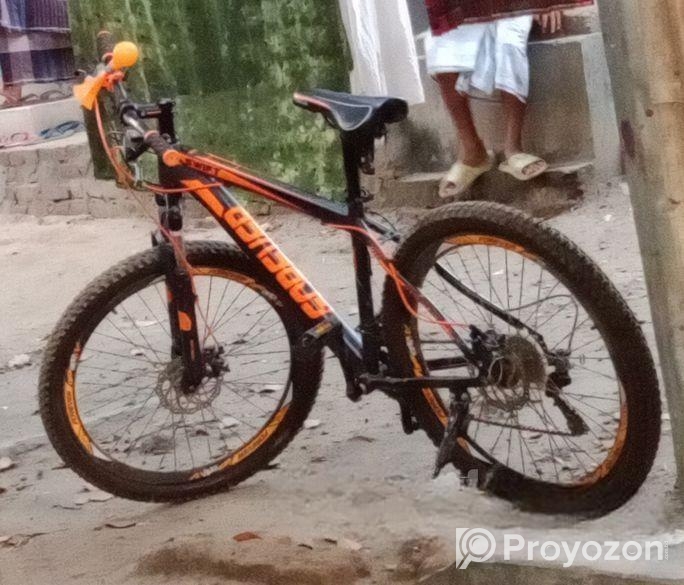 দুরন্ত নতুন সাইকেল