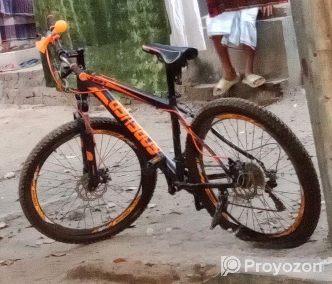 দুরন্ত নতুন সাইকেল