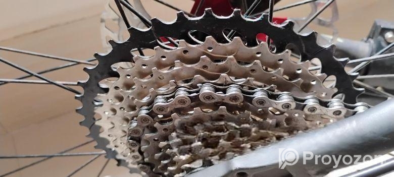 custom build cycle up for sell