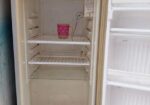 Butterfly Fridge