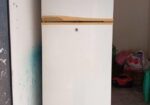 Butterfly Fridge