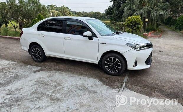 Toyota Axio Hybrid & Octane 2018
