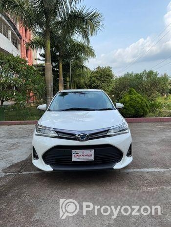Toyota Axio Hybrid & Octane 2018