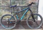 Phoenix, Aluminum Body bicycle sell