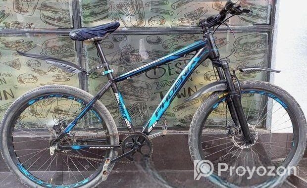 Phoenix, Aluminum Body bicycle sell