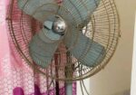 Stand Fan