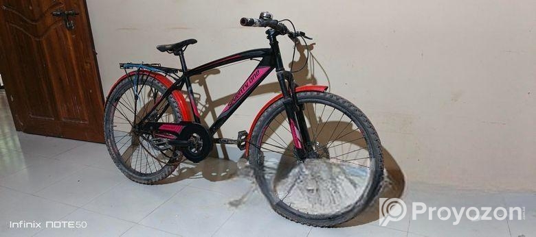 Bicycle For Sell