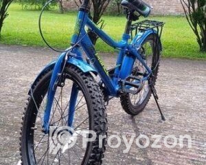 fitted-2025-08-23T123027.984_2025-08-23_12-31-22