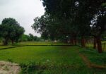 জমি বিক্রয় করা হবে