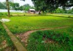 জমি বিক্রয় করা হবে
