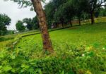 জমি বিক্রয় করা হবে