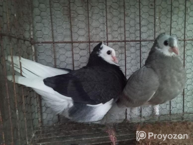 Gorra Chuital Baby Pair