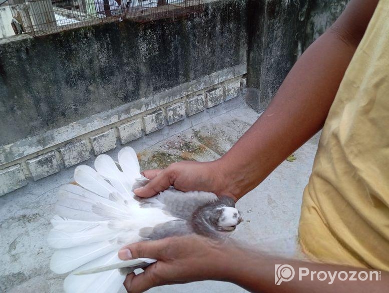 Gorra Chuital Baby Pair