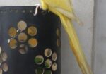 Yellow Ringneck Full Tame