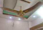 পাকিস্তানি ফ্যান