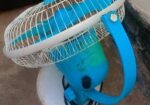 Fan for sell