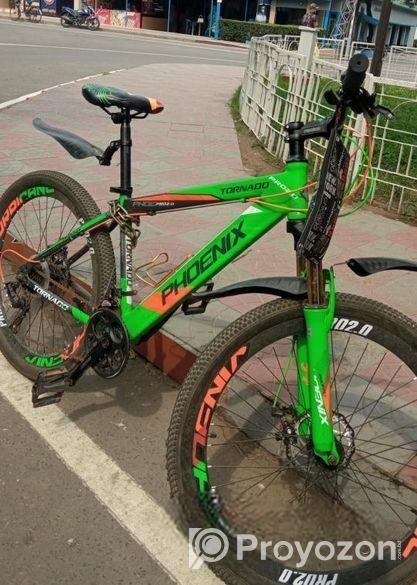 Phoenix Bicycle for sale