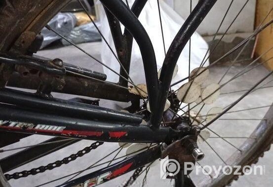 Prince Cycle 26″ for sell