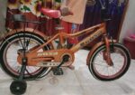 Baby 16 inch cycle