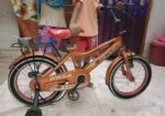 Baby 16 inch cycle