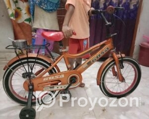 fitted-2025-08-24T214607.598_2025-08-24_21-47-53