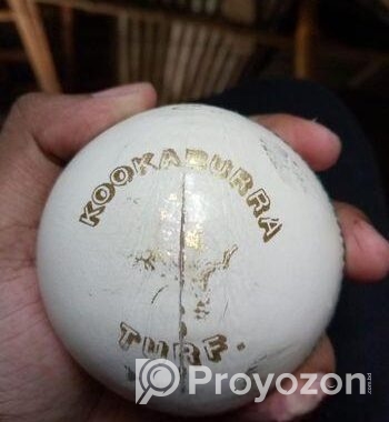 Original Kookaburra Turf International Leather Bal